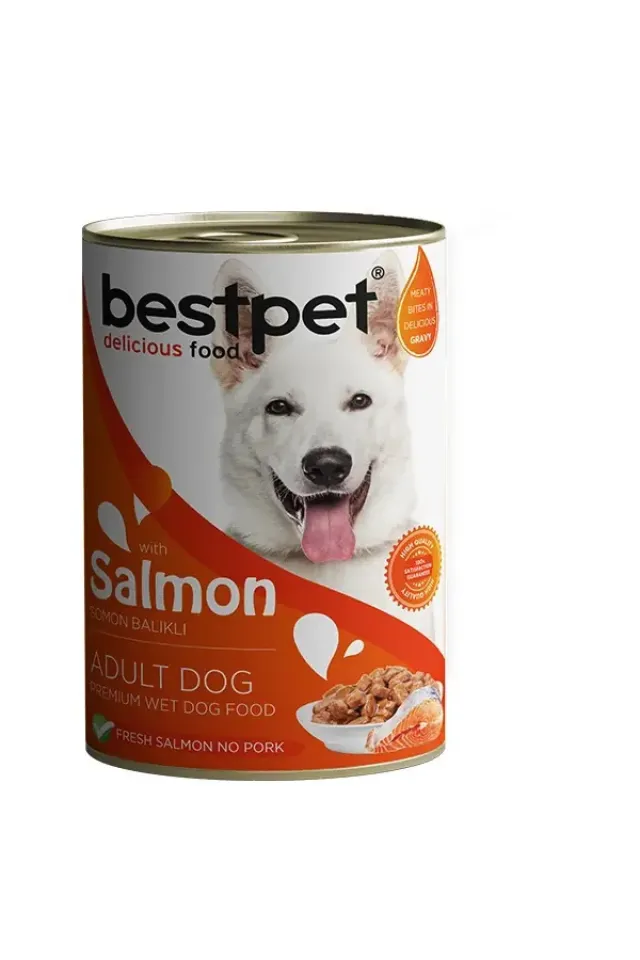 Somonlu Jöleli Yetişkin Köpek Konservesi  400 Gr