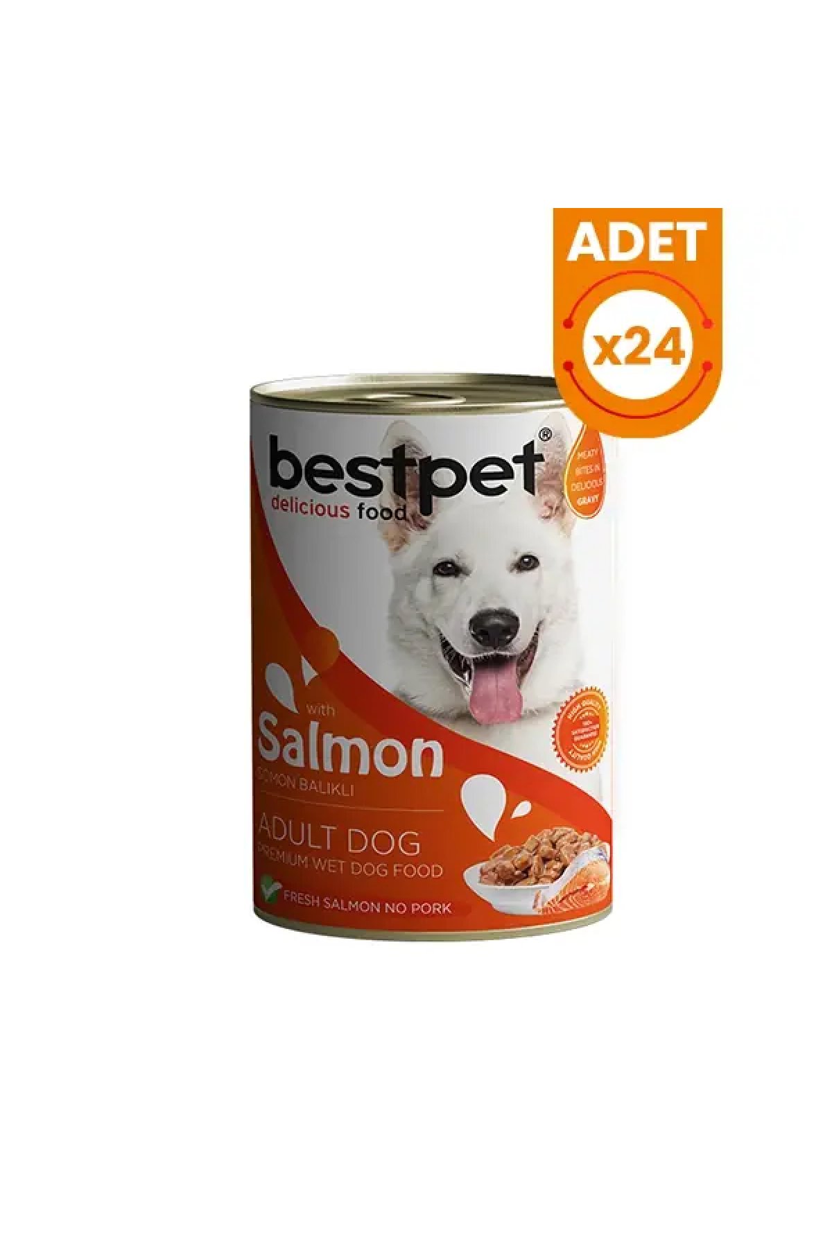 Somonlu Jöleli Yetişkin Köpek Konservesi 24 Adet 400 Gr