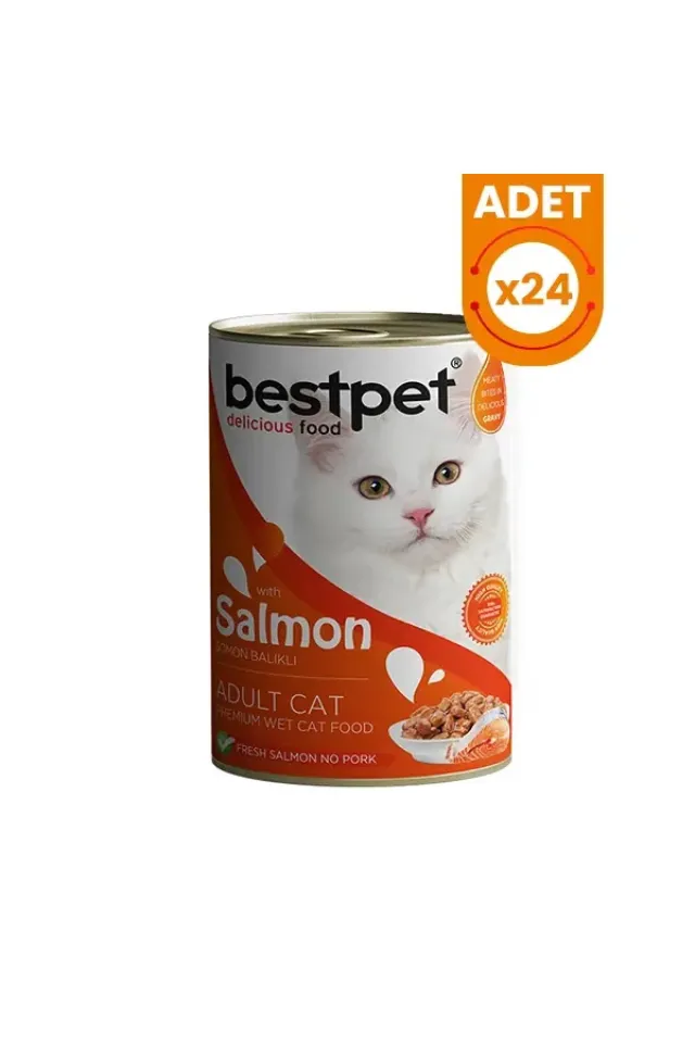 Somonlu Jöleli Yetişkin Konserve Kedi Maması 24 Adet 400 Gr