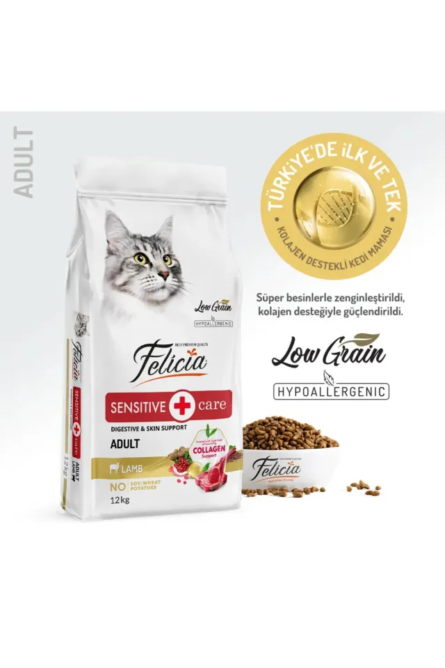 Etli Yetişkin Kedi Maması 12 Kg