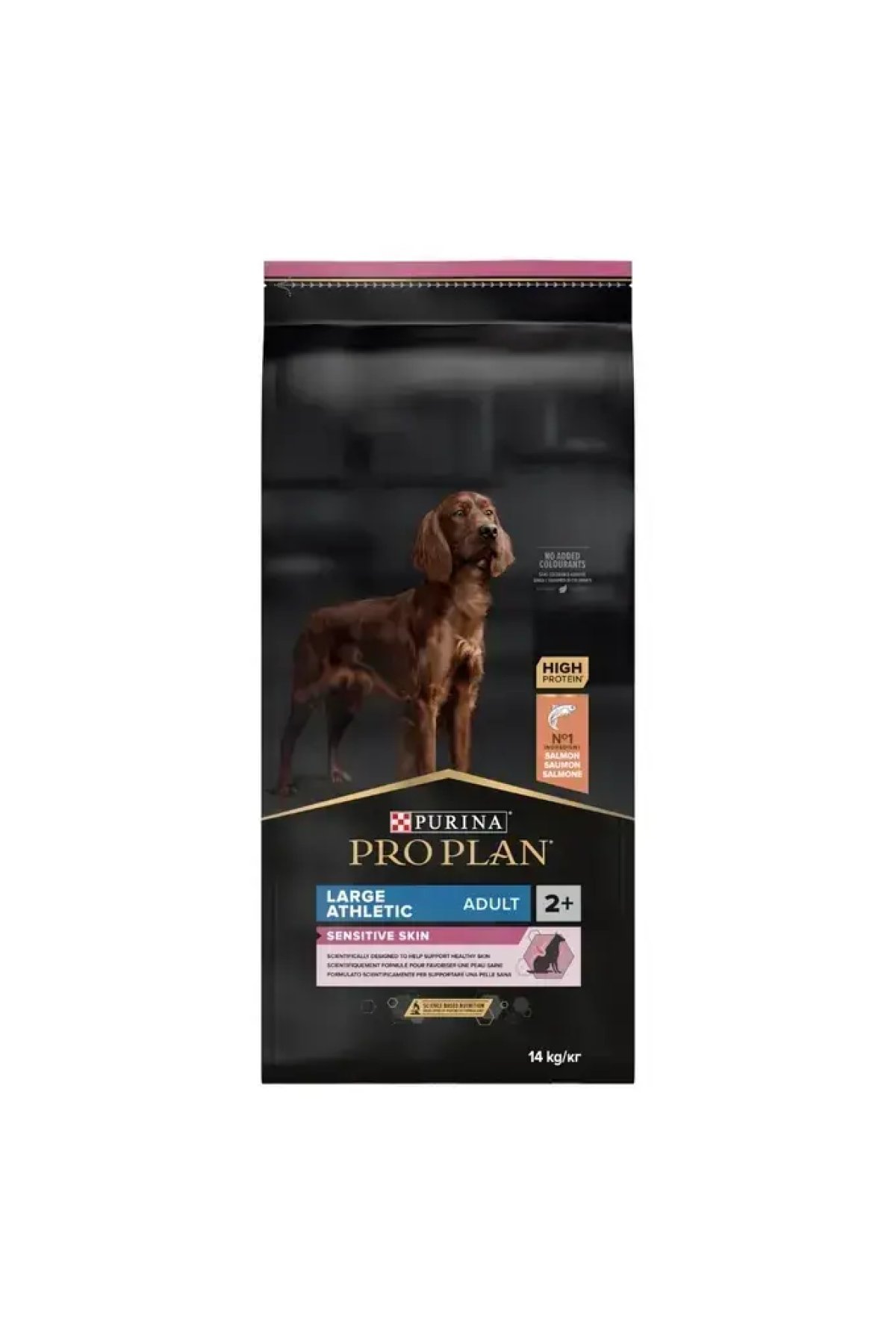 Büyük Irk Somonlu Yetişkin Köpek Maması 14 Kg