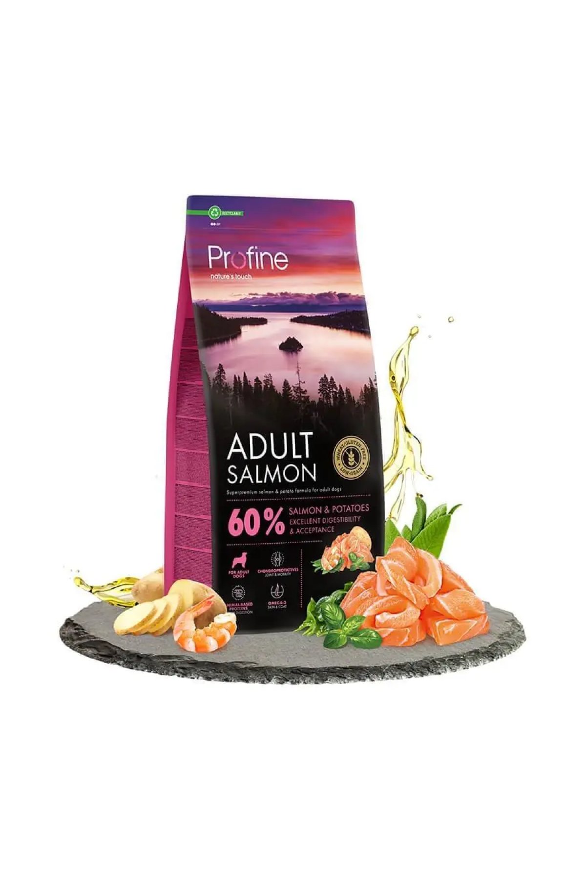 Glutensiz Somonlu Yetişkin Köpek Maması 12 Kg