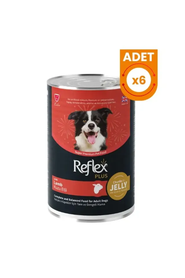Jöle İçinde Kuzu Etli Yetişkin Konserve Köpek Maması 400 Gr 6 Adet