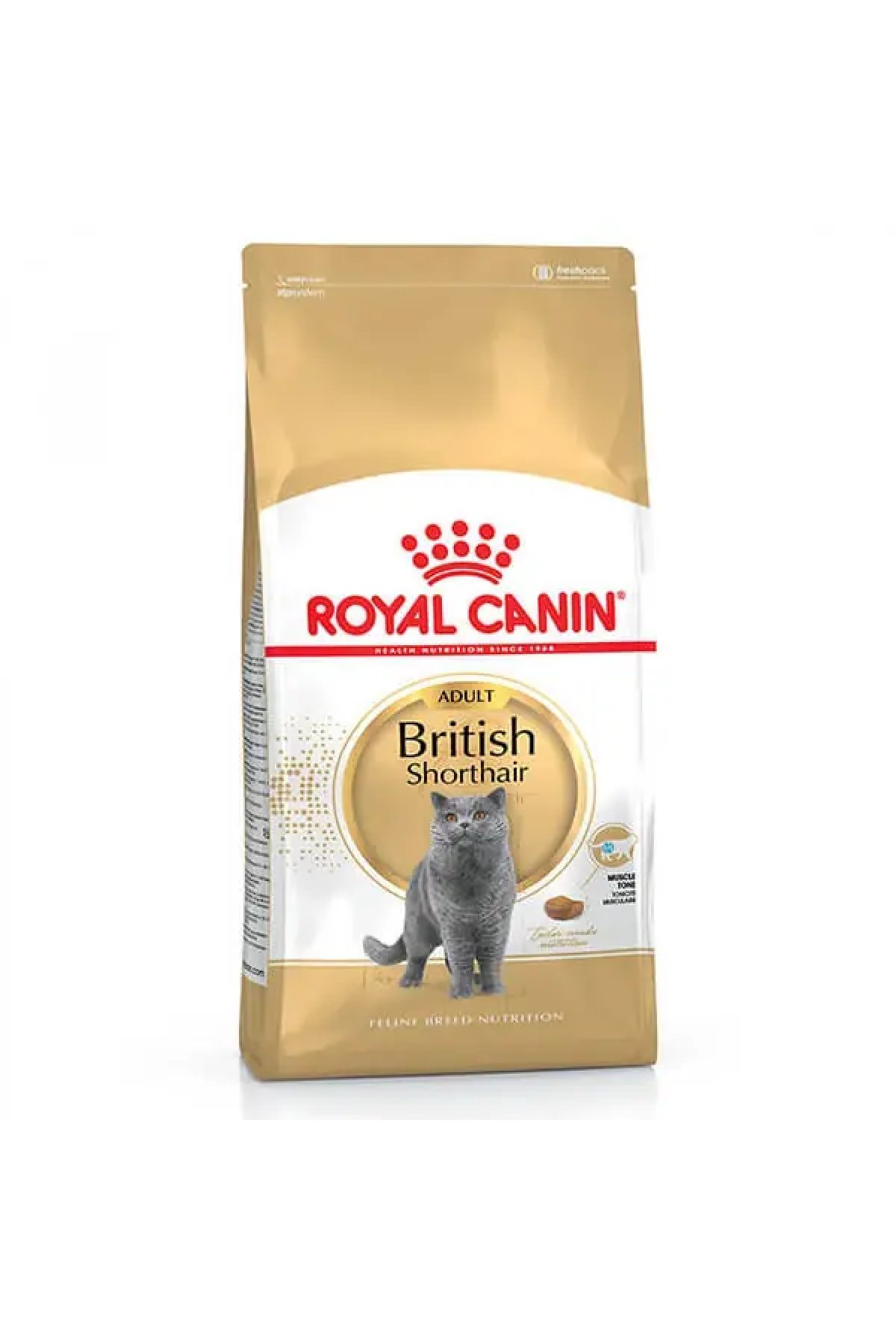 British Shorthair Adult Yetişkin Kedi Maması 400 Gr