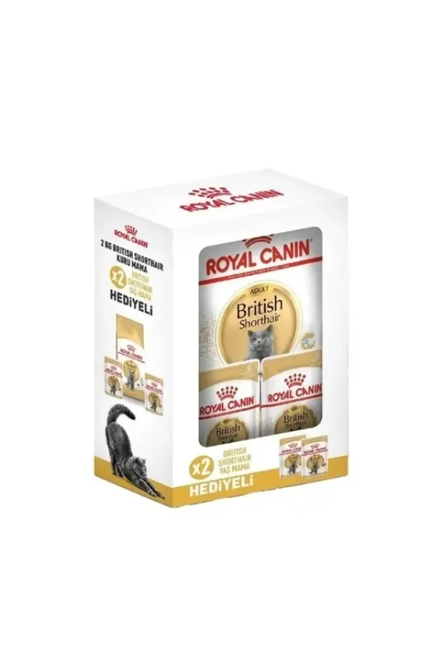 British Shorthair Adult Yetişkin Kedi Maması 2 Kg + 2 Konserve Hediyeli