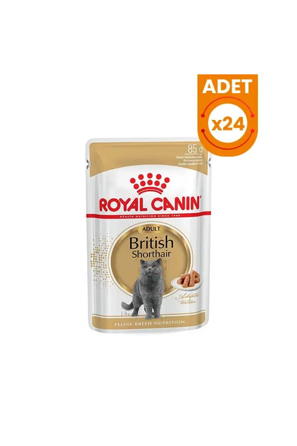 British Shorthair Adult Pouch Konserve Kedi Maması 24 Adet 85 Gr