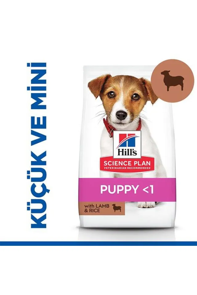 Science Plan Kuzu Etli Küçük Irk Yavru Köpek Maması 6 kg