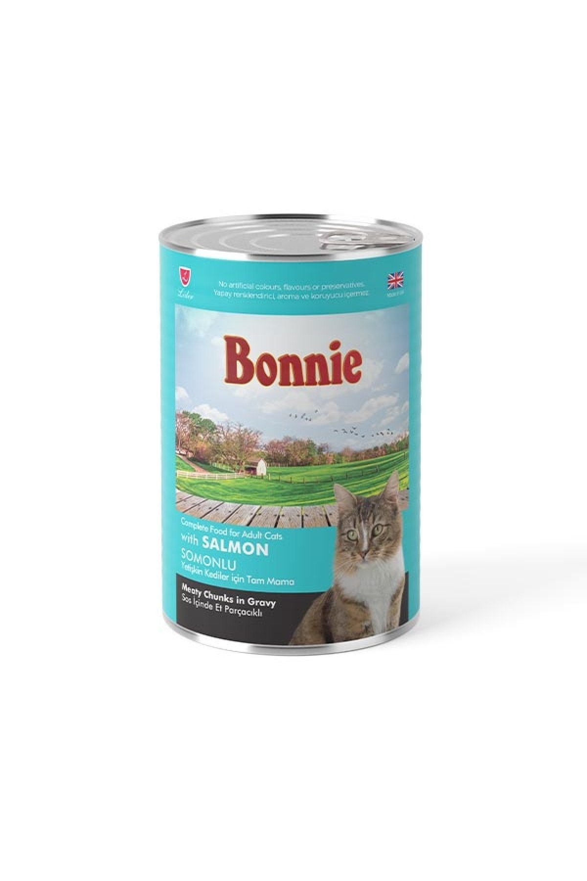 Sos içinde Et Parçacıklı Somonlu Yetişkin Kedi Maması 400 gr