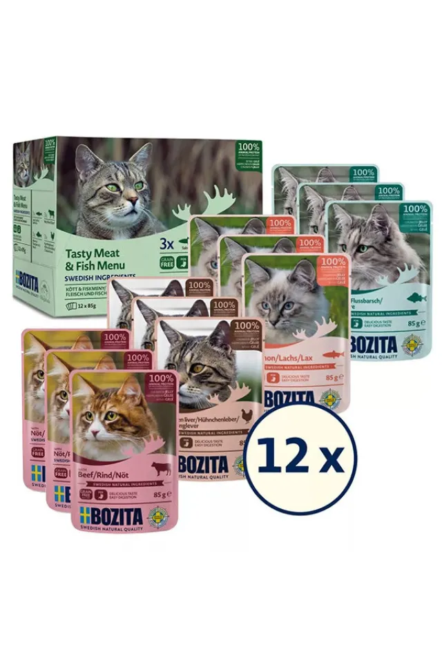 Jöle İçinde Balık ve Etli Kedi Konservesi Multibox 12x85 gr