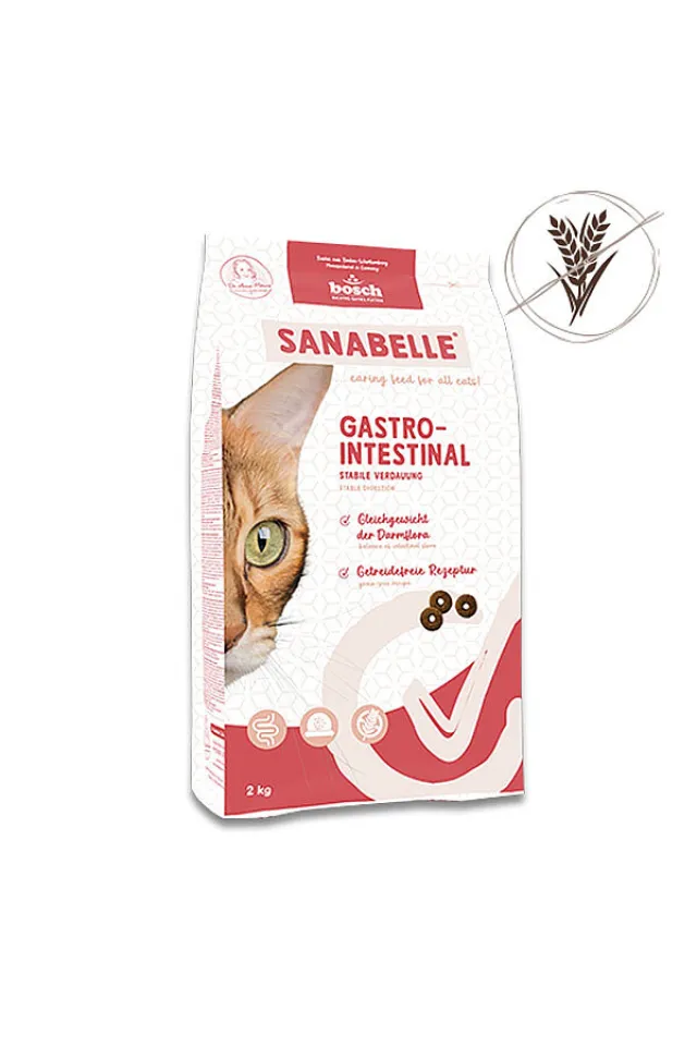 Gastrointestinal Hassas Mide ve Bağırsaklar İçin Özel Formül Kedi Maması 2 Kg