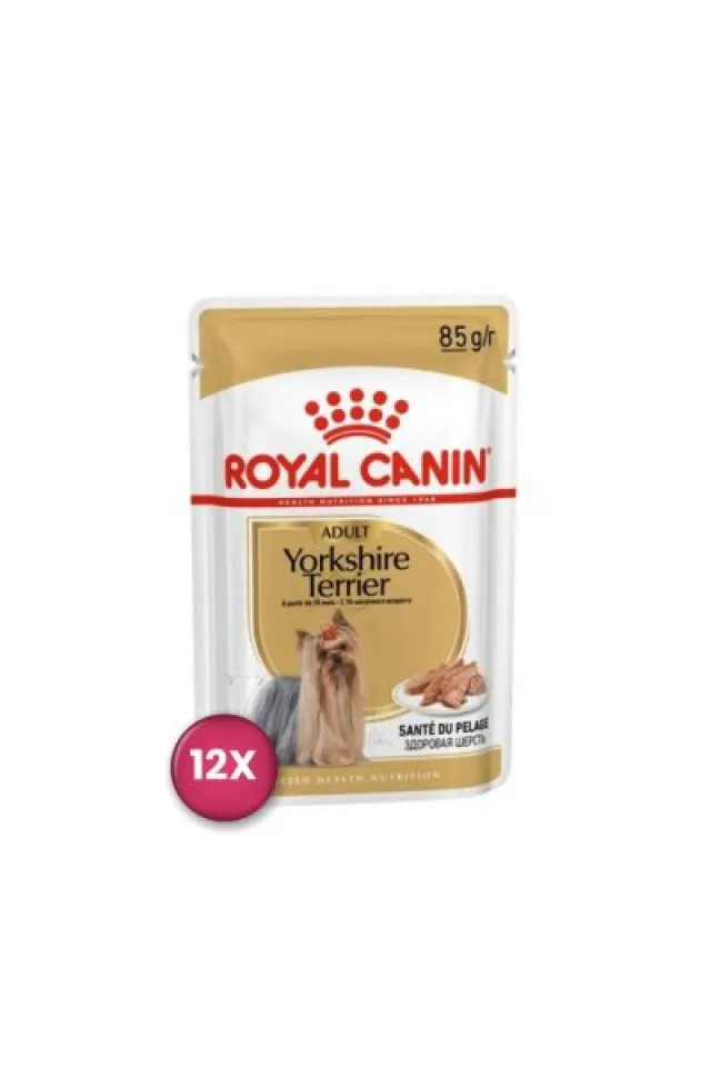 Yorkshire Terrier Adult Pouch Yetişkin Köpekler İçin Konserve 85 gr x 12 Adet