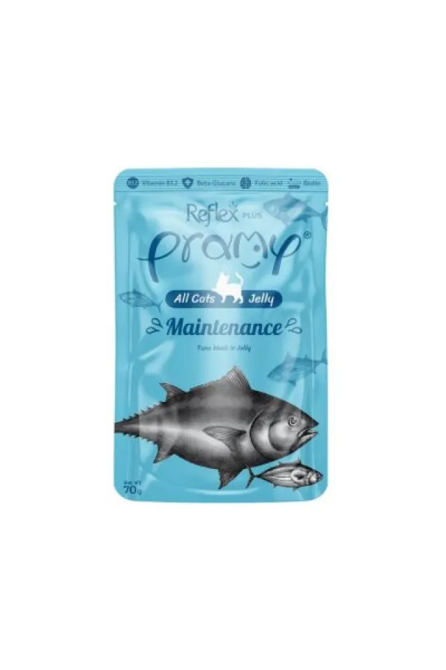 Maintanance Ton Balıklı Yetişikin Kedi Konserve Maması 70 gr