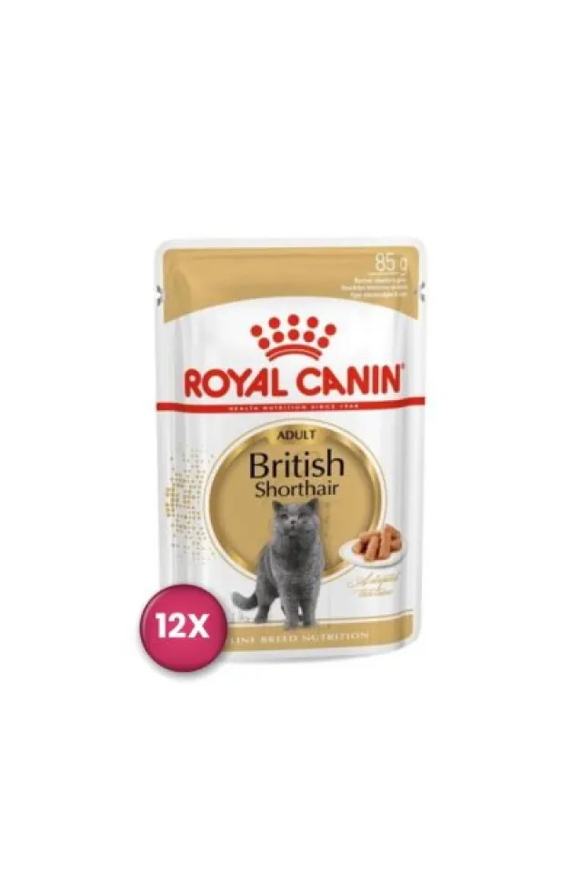 British Shorthair Pouch Yetişkin Kedi Konservesi 85 gr x 12 Adet