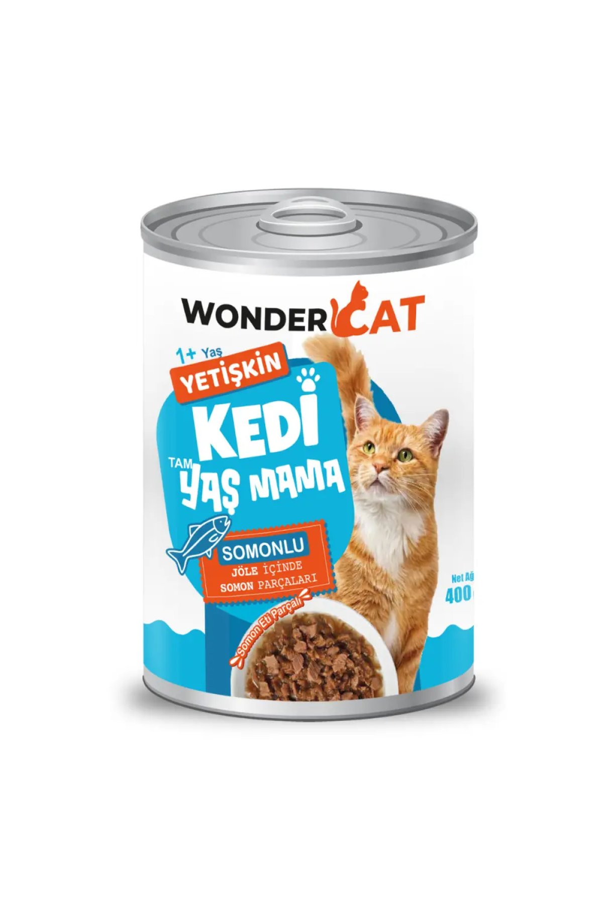 Somonlu Yetişkin Kedi Konservesi 400 gr
