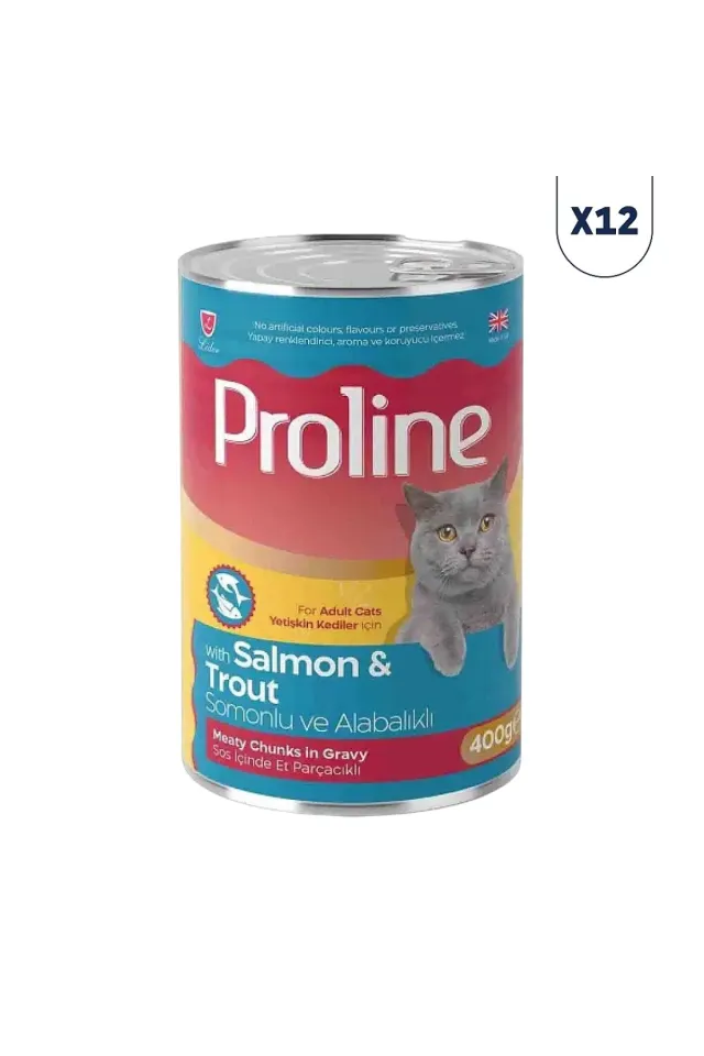 Somonlu ve Alabalıklı Sos İçinde Gravy Yetişkin Kedi Konservesi 400 gr 12'li