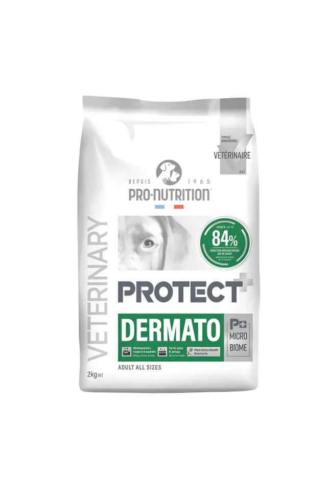 Protect Veterinary Dermato Hypo-Allergenic Köpek Maması 2kg