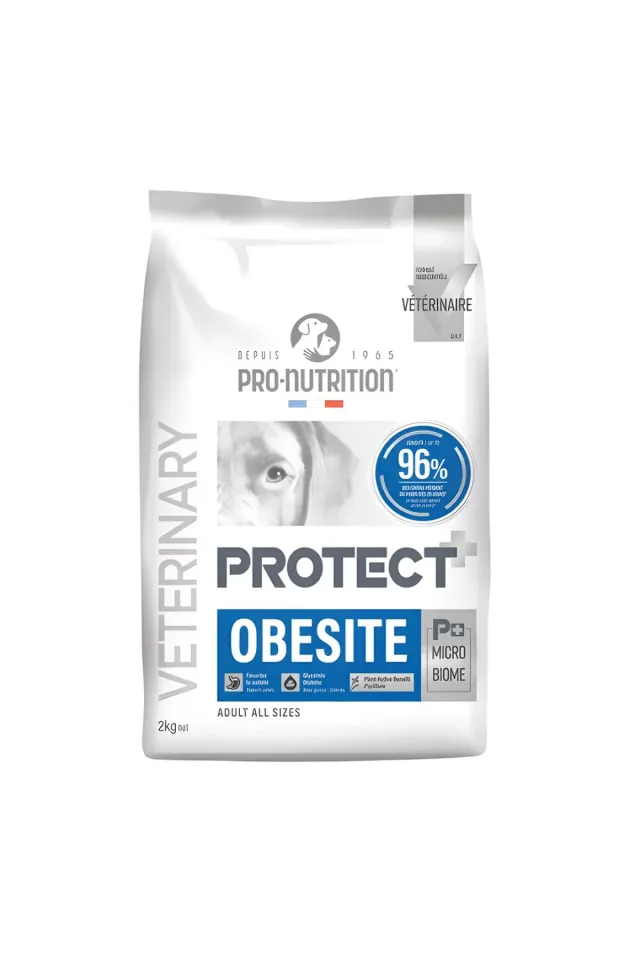 Protect Veterinary Obesite Kilo Kontrolü İçin Köpek Maması 12kg