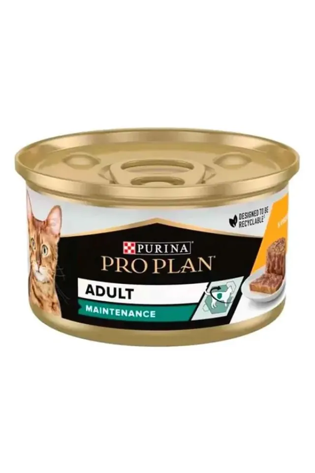 Maintinance Tavuklu Yetişkin Kedi Konservesi 85 gr