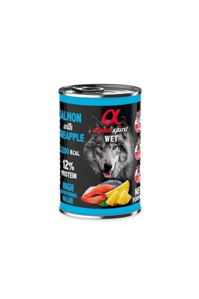 Yetişkin Köpek Konservesi Somonlu Ananaslı 400 gr