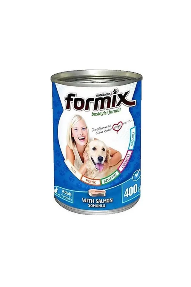 Formix Somonlu Yetişkin Köpek Konservesi 400 gr