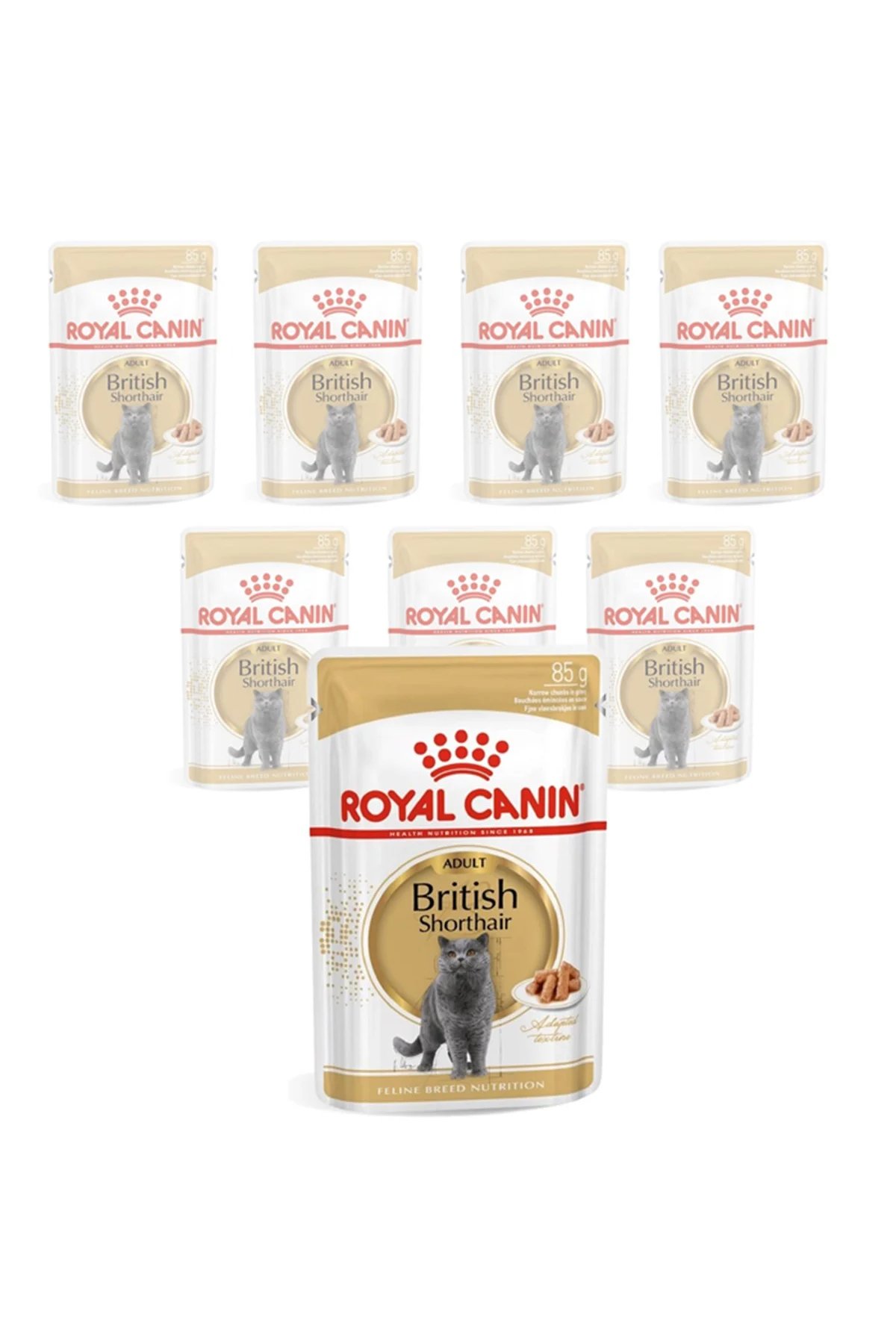 British Shorthair Yetişkin Pouch Kedi Konservesi 85 Gr (12 Adet)