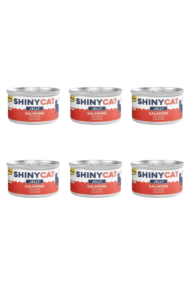 Shinycat Somonlu Konserve Kedi Maması 70 Gr (6 Adet)