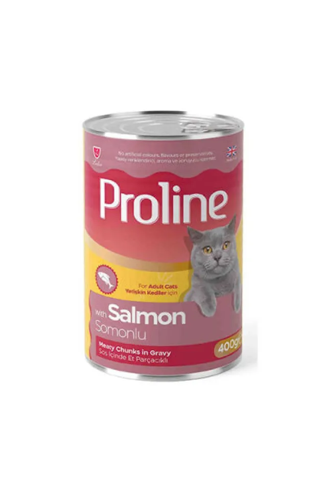 Somon Etli Sos İçinde Gravy Yetişkin Kedi Konservesi 12 Adet 400 Gr