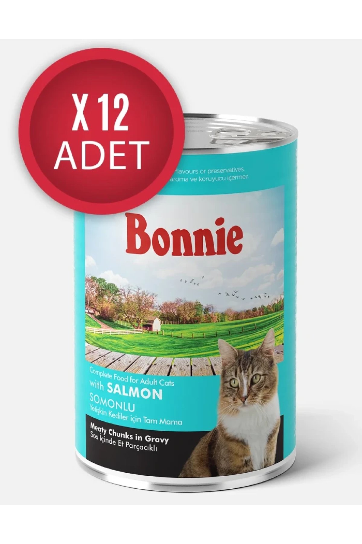 Somonlu Sos İçinde Et Parçacıklı Kedi Konservesi 400g x 12 Adet