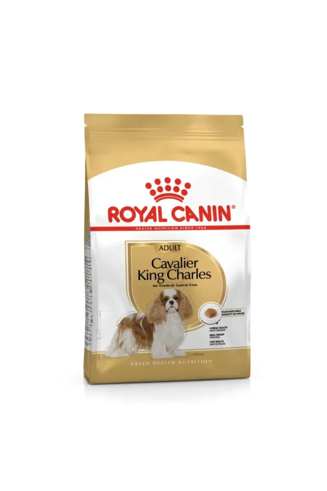 Cavalier King Charles 27 Yetişkin Köpek Maması 3 kg