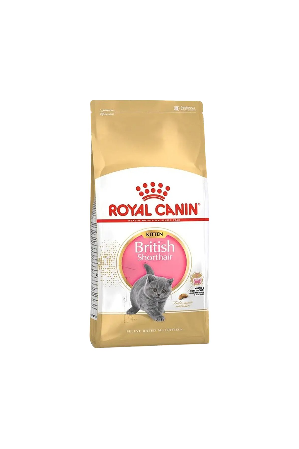 British Shorthair Yavru Kedi Maması 2 kg