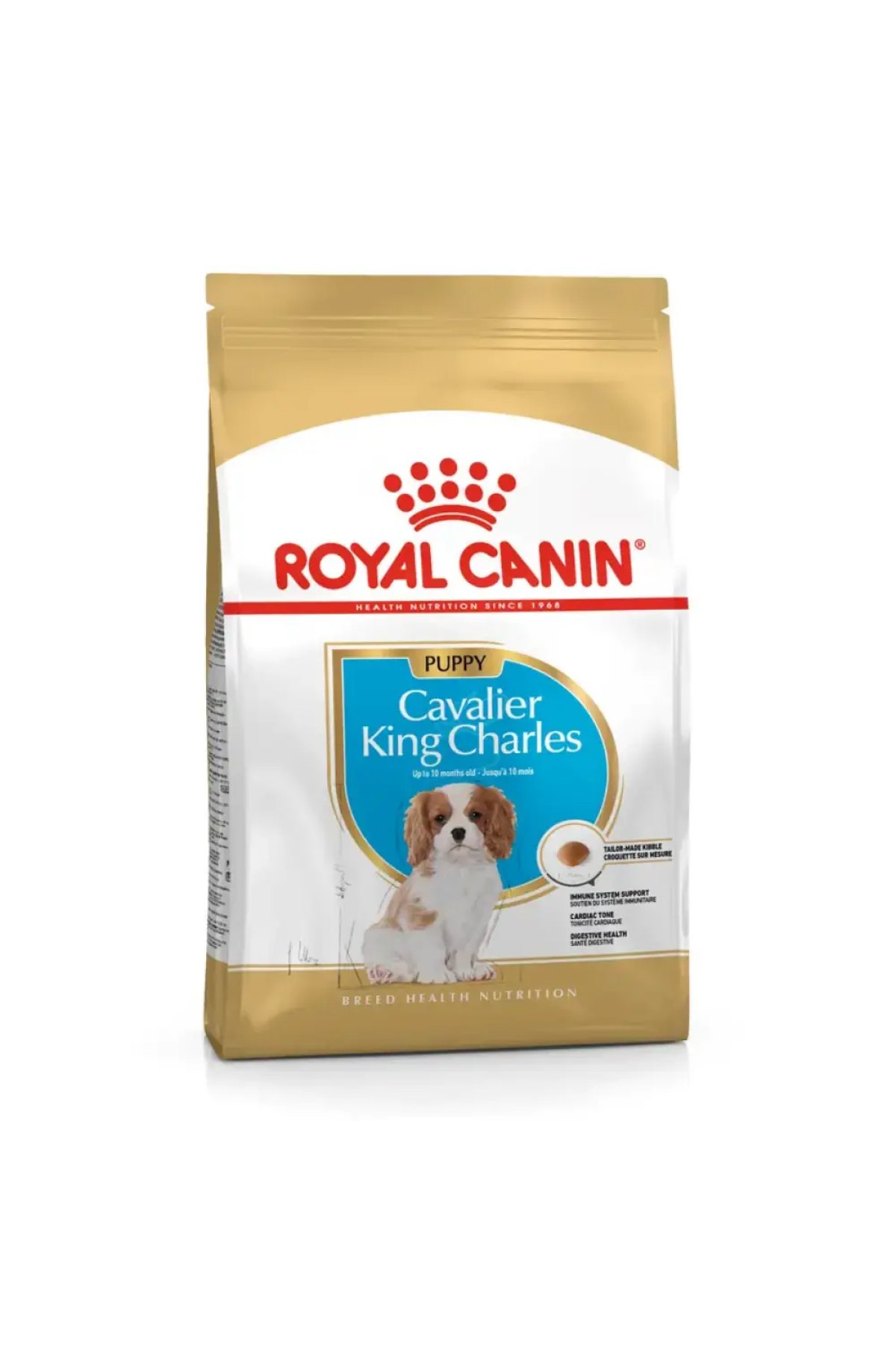 Cavalier King Charles Puppy Yavru Köpek Maması 1,5 kg