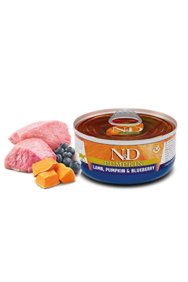 Pumpkin Balkabaklı Kuzulu Yaban Mersinli Tahılsız Yetişkin Kedi Konservesi 70 Gr