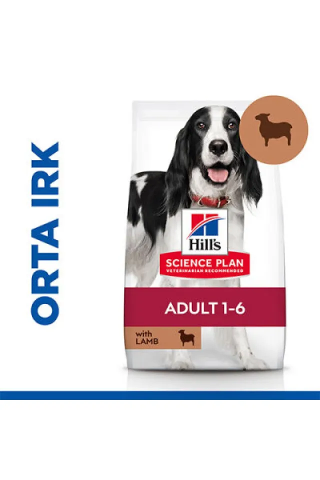 Adult Medium Lamb & Rice Orta Irk Kuzulu Yetişkin Köpek Maması 14 Kg
