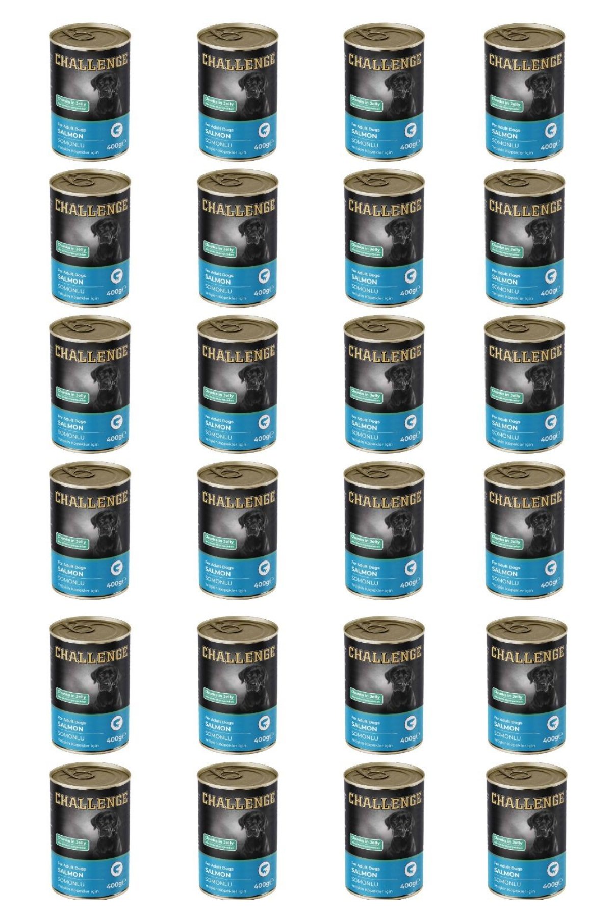 Somonlu yetişkin köpek konservesi 400 gr x 24 adet