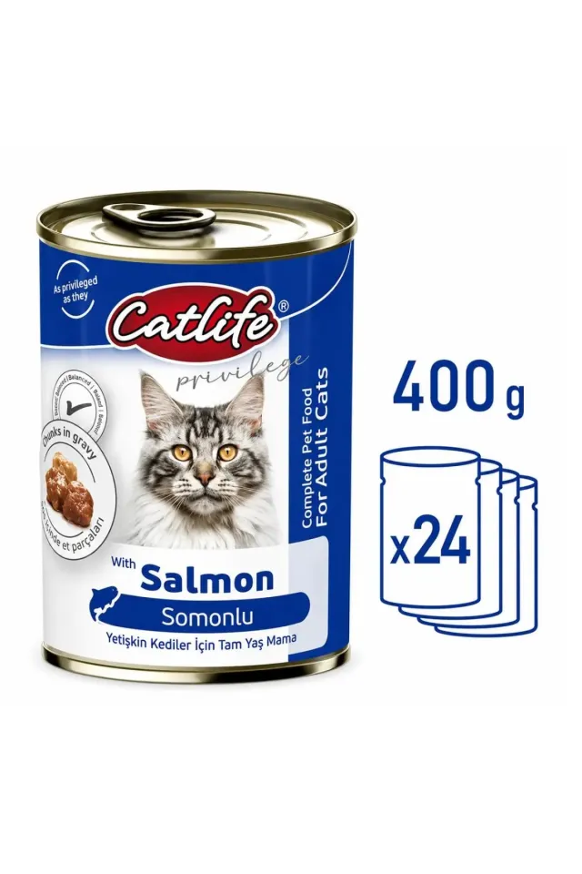 Somonlu Kedi Konservesi 400Gr 24lü Paket