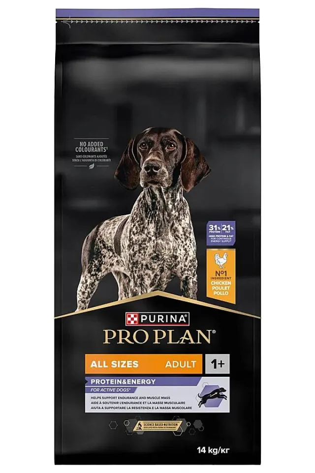 Tüm Irklar İçin Tavuklu Yetişkin Köpek Maması 14kg