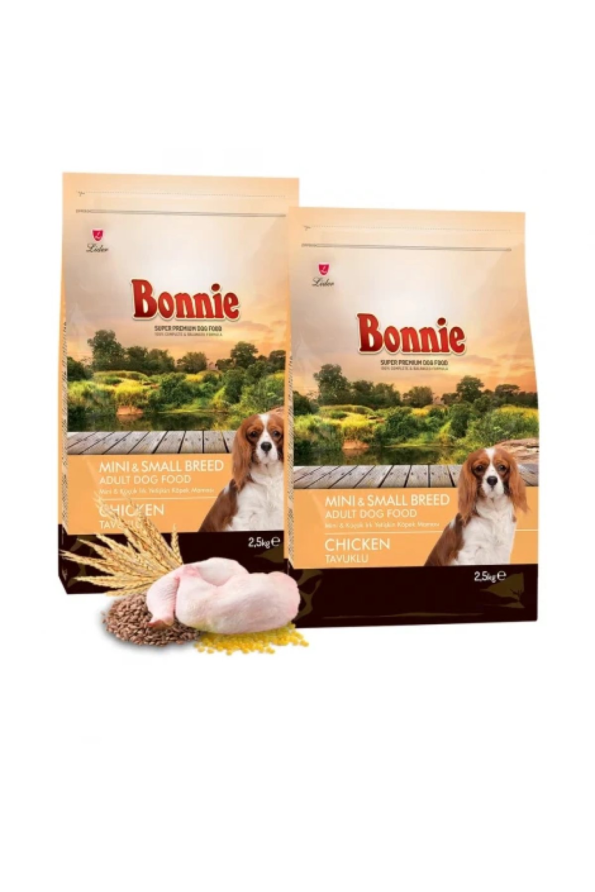 Mini ve Küçük Irk Tavuklu Yetişkin Köpek Maması 2,5 Kg x 2 Adet