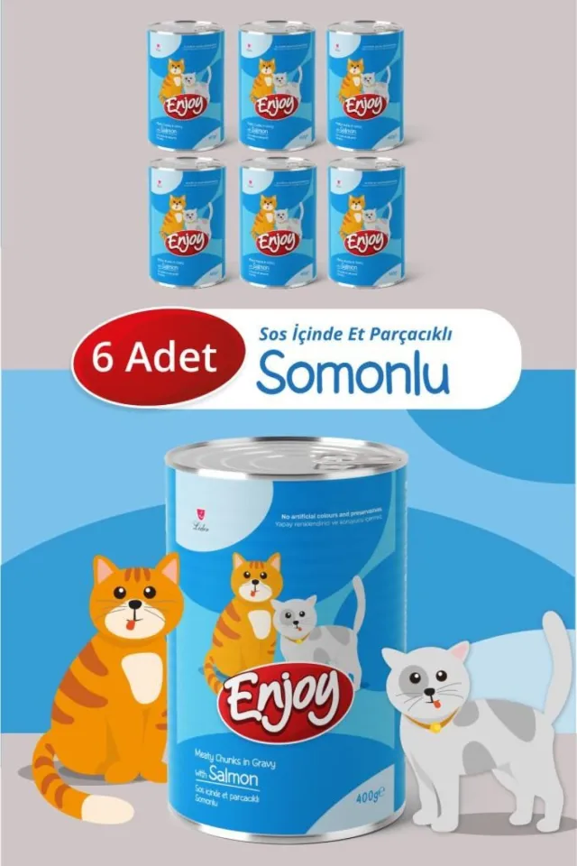 Somonlu Kedi Konservesi Sos İçinde Et Parçacıklı 400 Gr x6