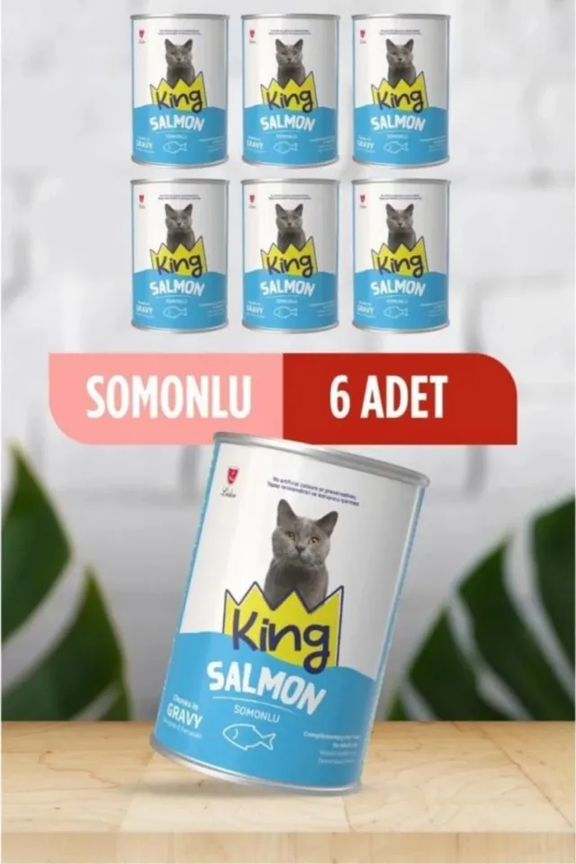 Sos İçerisinde Et Parçacıklı Somonlu Kedi Konservesi 400 Gr*6 ADET