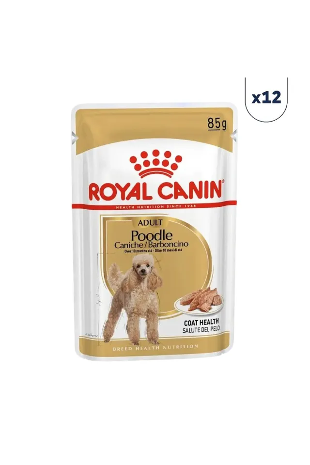 Poodle Caniche Tüy Sağlığı Destekleyici Yetişkin Köpek Konservesi 85 gr 12'li