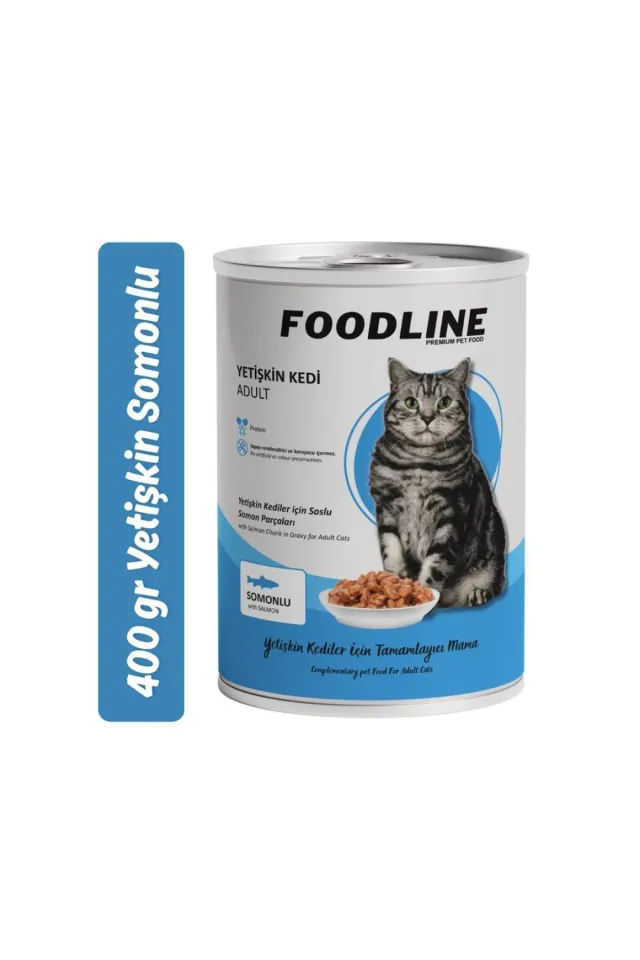 Somonlu Yetişkin Kedi Konservesi 400 Gr