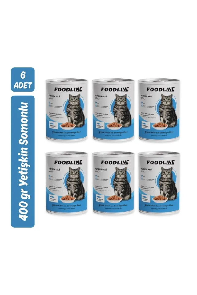 Somonlu Yetişkin Kedi Konservesi 400 Gr x 6 Adet